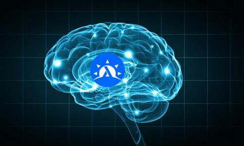 Haskell Brain Graphic.png
