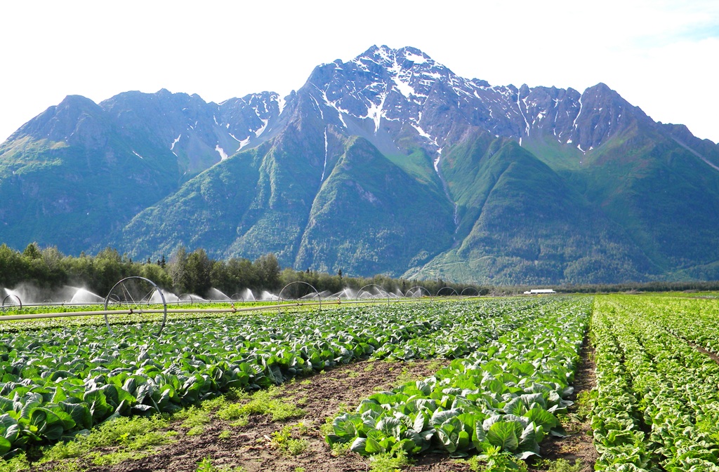 AK Food System Resources — Alaska Food Policy Council