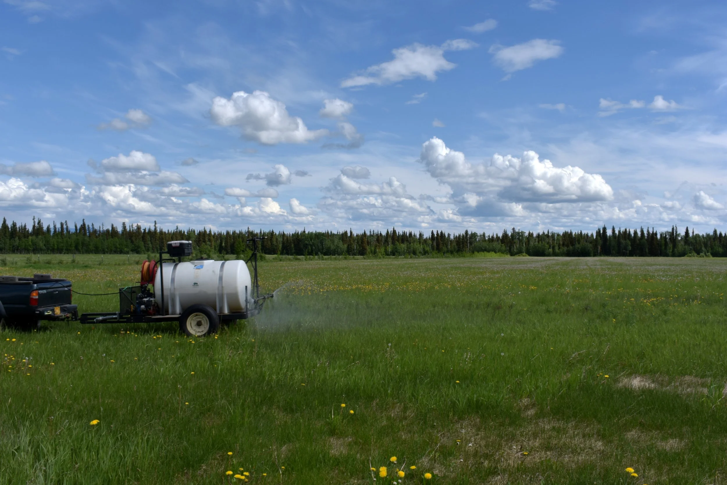 Alaskan Food Waste Hero Spotlight: Waste Me Naught, Fairbanks