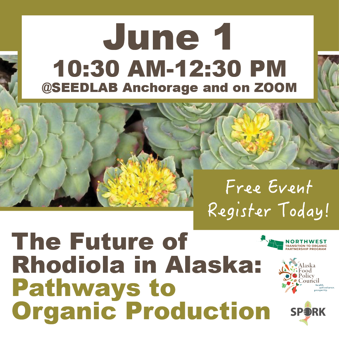 The Future of Rhodiola in Alaska: Pathways to Organic Production