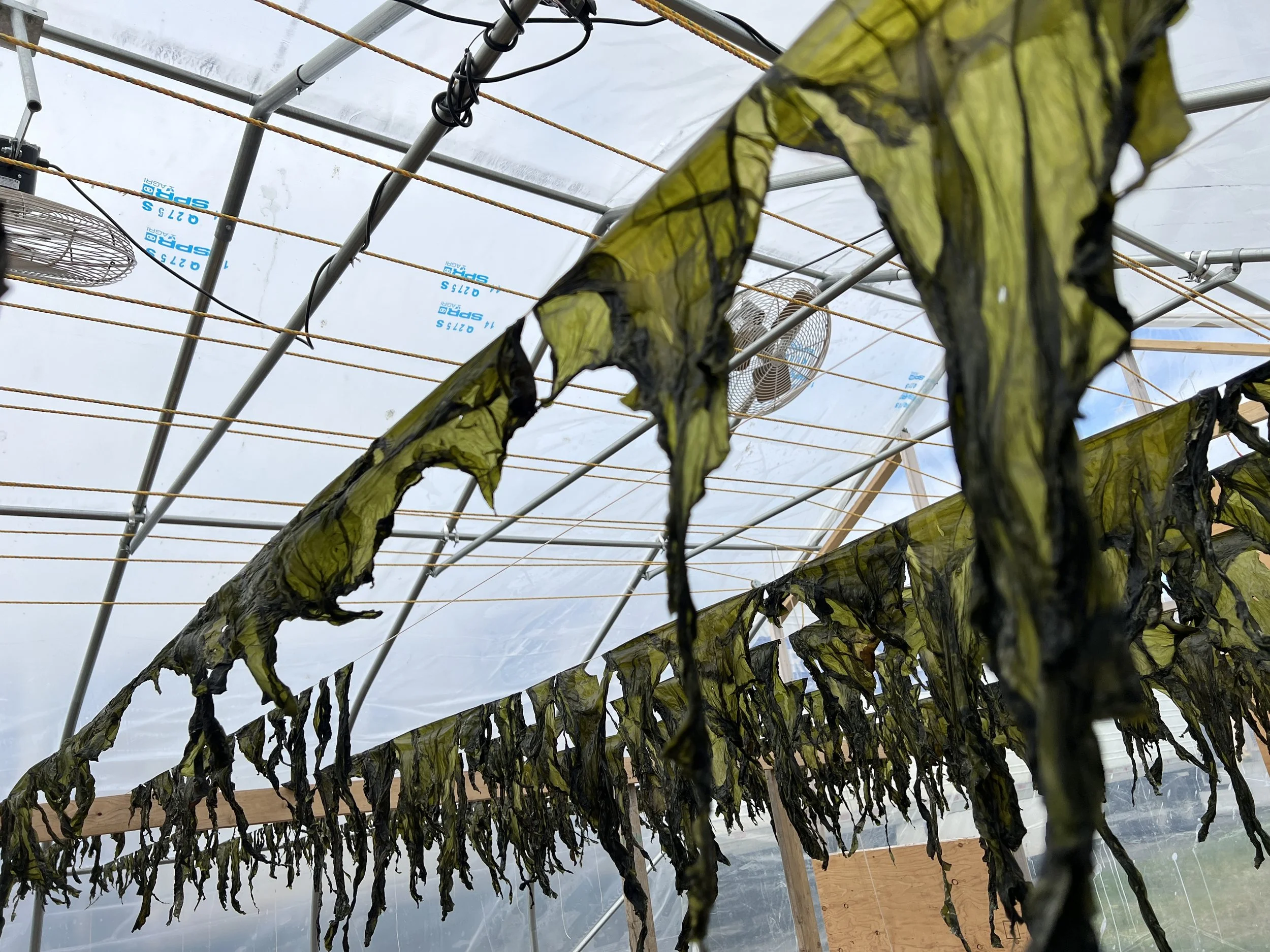 What collaboration across time and place can look like