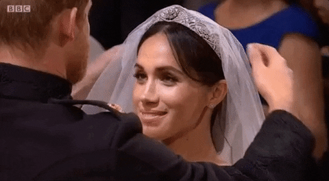 giphy-1.gif