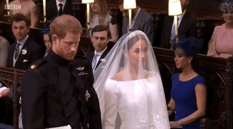 giphy-2.gif
