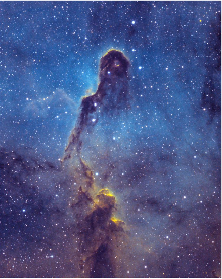 Dwight-Talley-Photography-Elephant-Trunk-Nebula-Astronomy.png