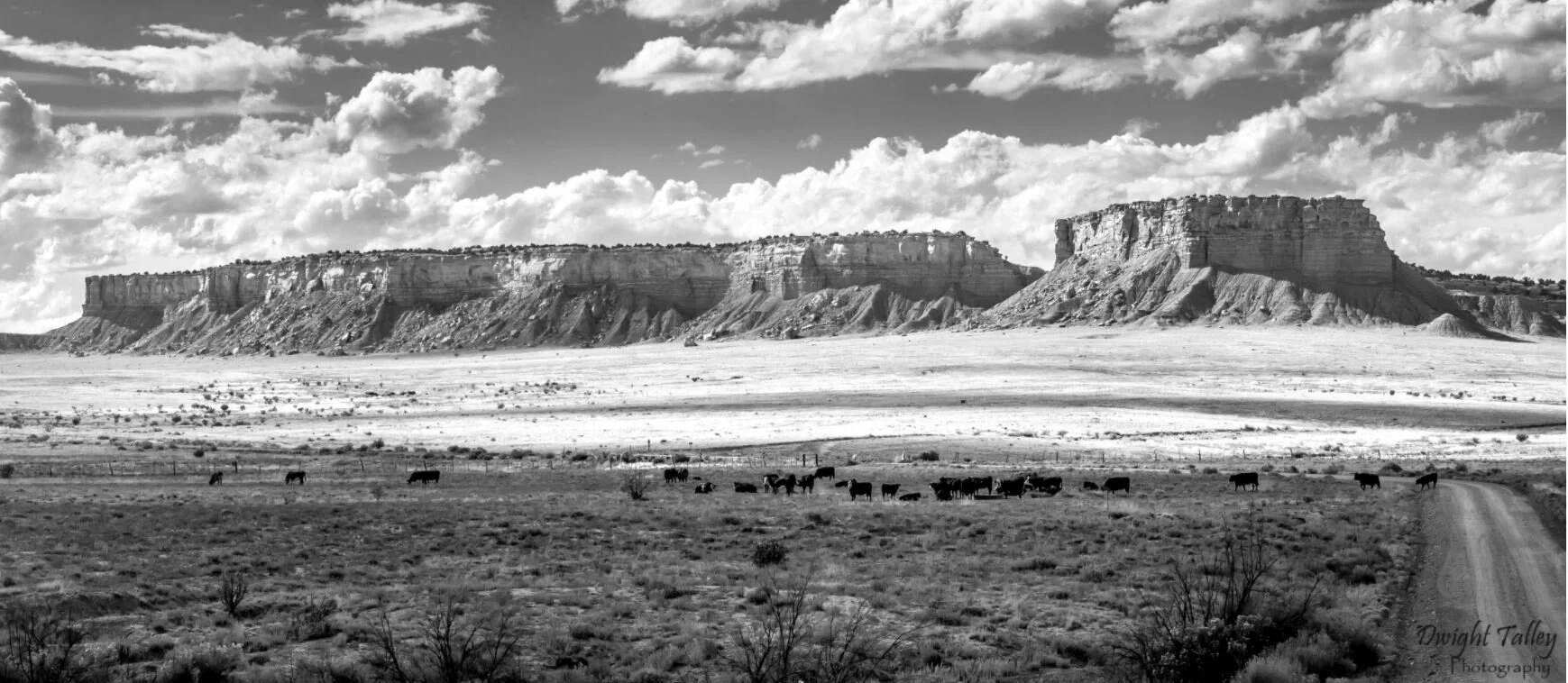Dwight-Talley-Photography-Cliffs-of-New-Mexico-Landscape.png