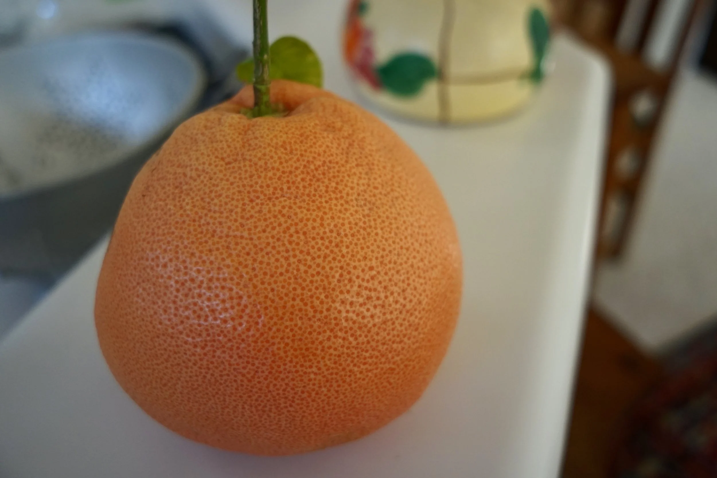 FullSizeRender.jpg