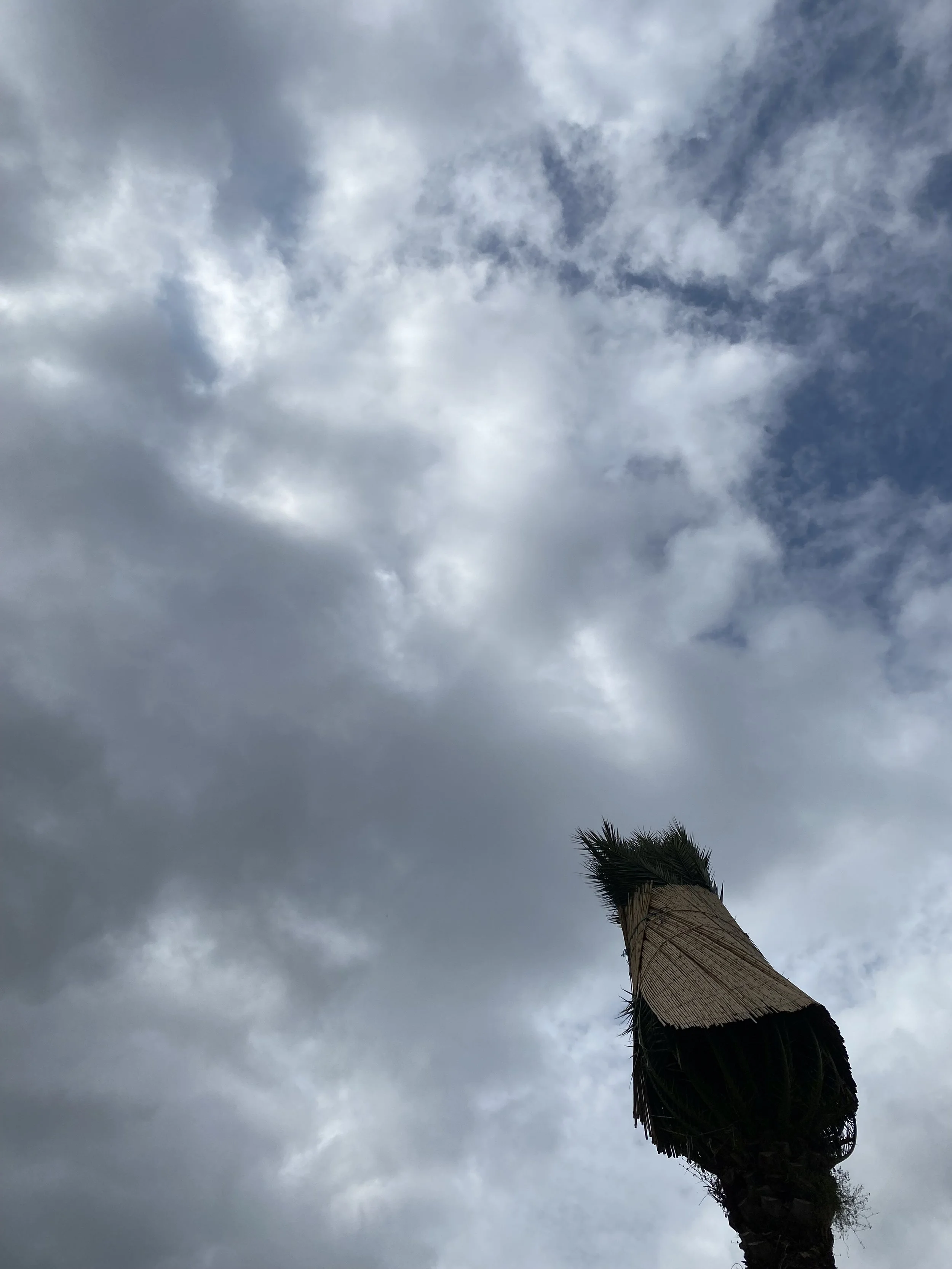 IMG_0976.jpeg