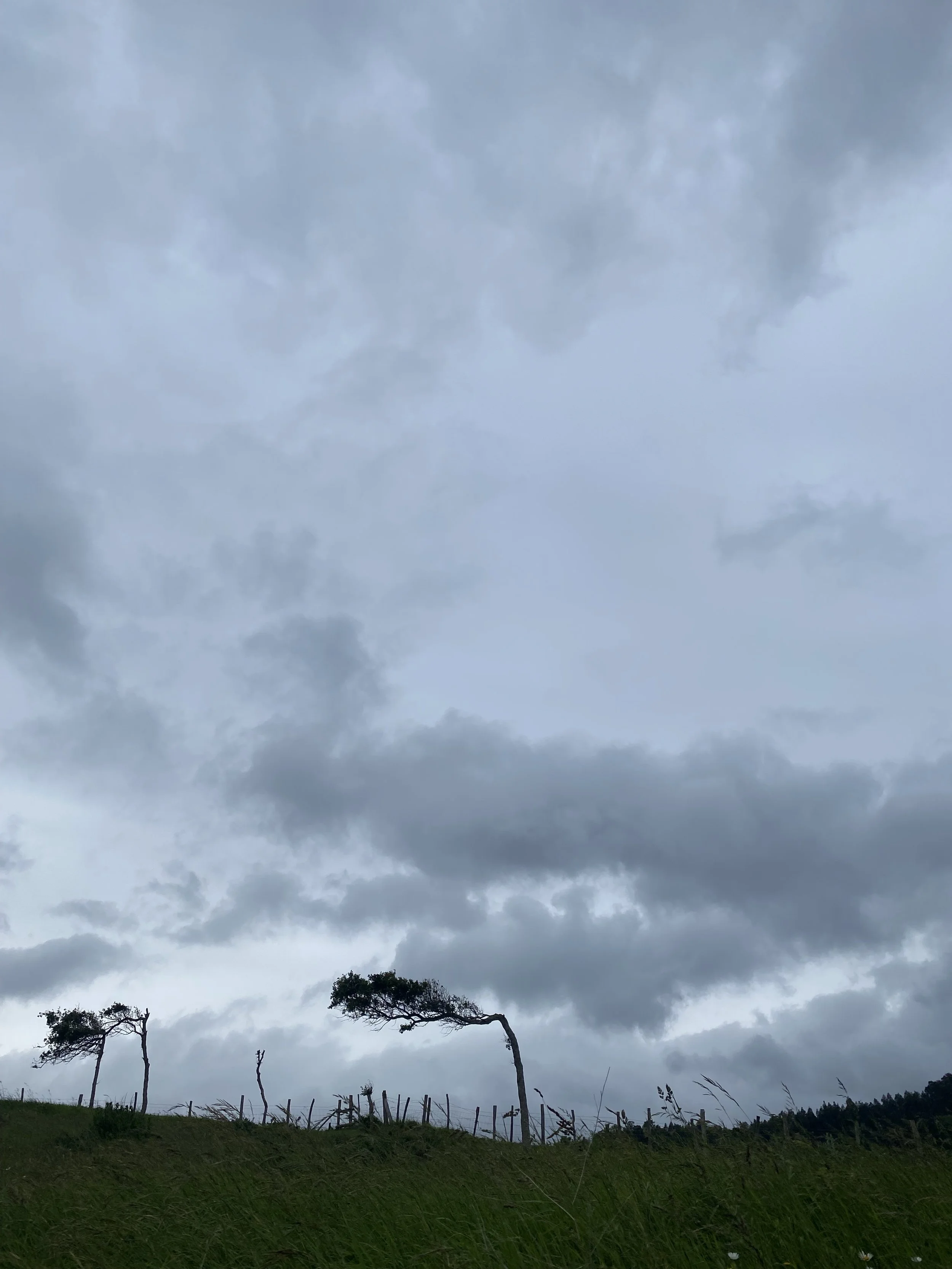 IMG_1465.jpeg