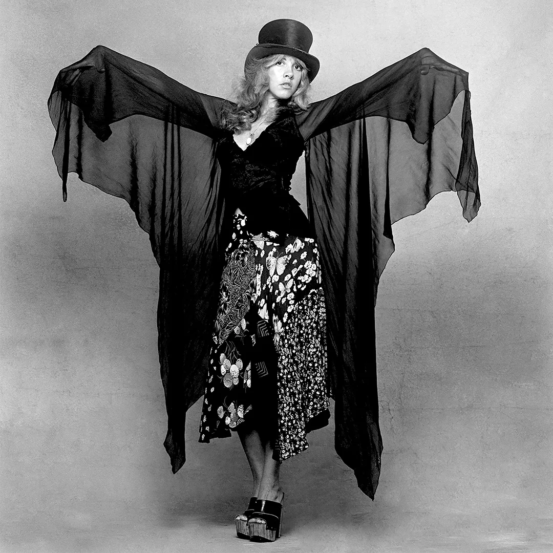 Book Stevie Nicks .jpg