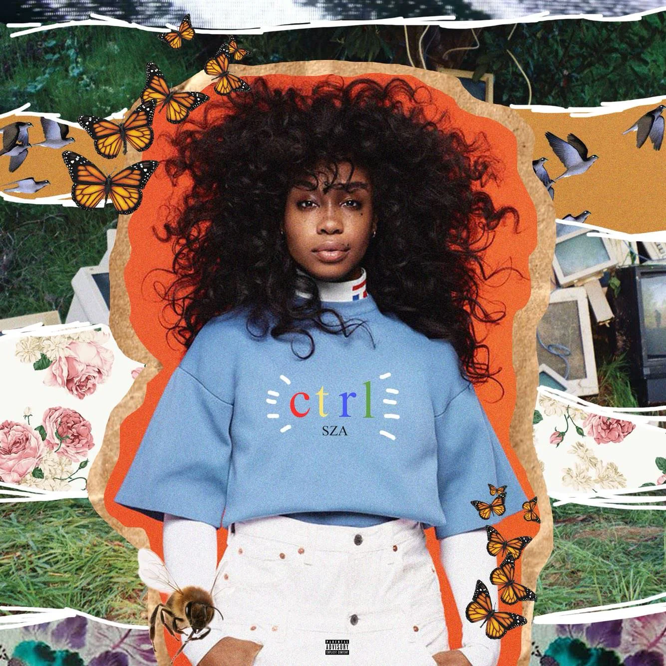 SZA-CTRL-1.jpg