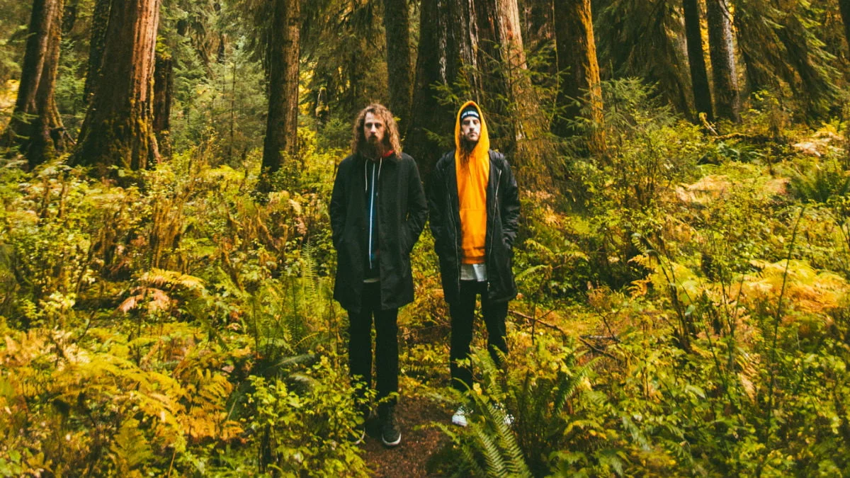 hippie-sabotage-forest.jpg