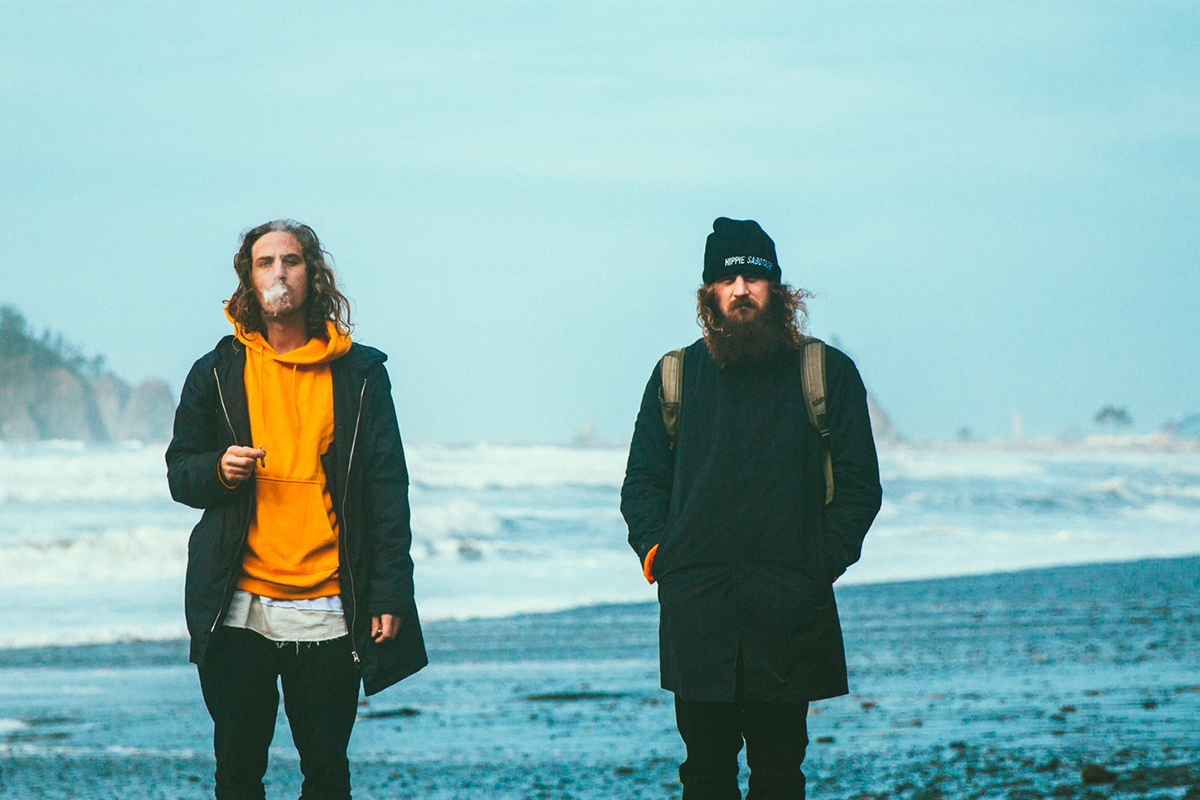 Book Hippie Sabotage .jpg