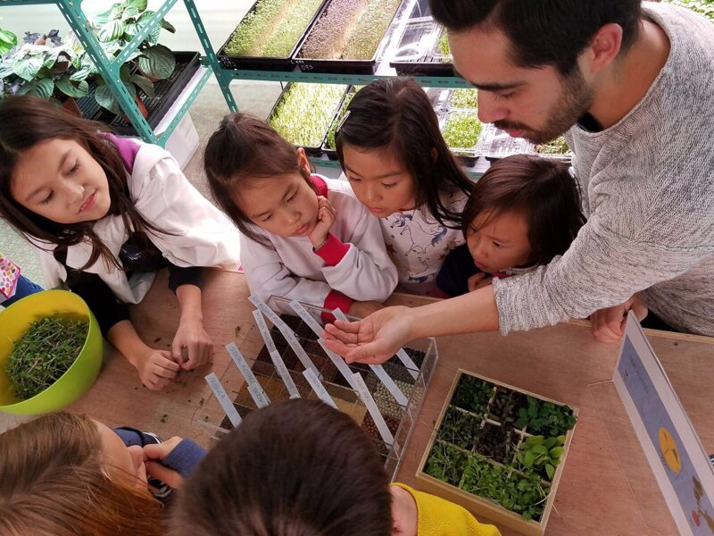 Educating the next generation about food production is an important step in improving urban food security.
