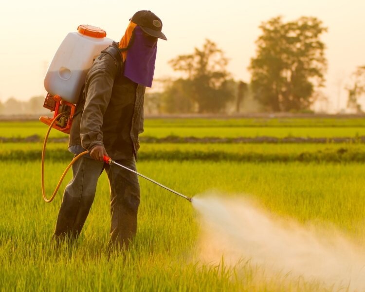What's The Deal With Pesticides? — Common Farms