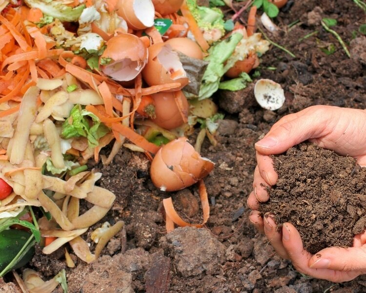 Turn food scraps into fertilizer.