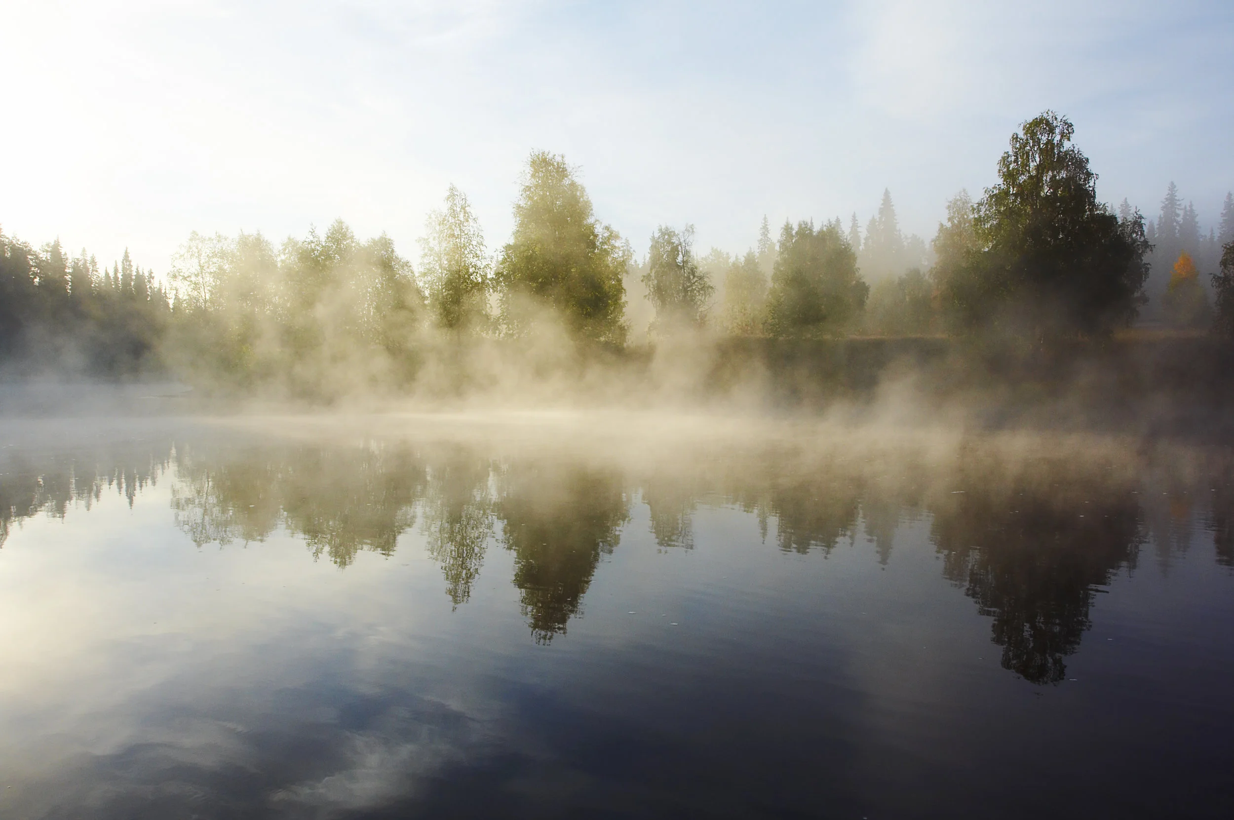 Luontolaulu-sumuinenaamu.jpg