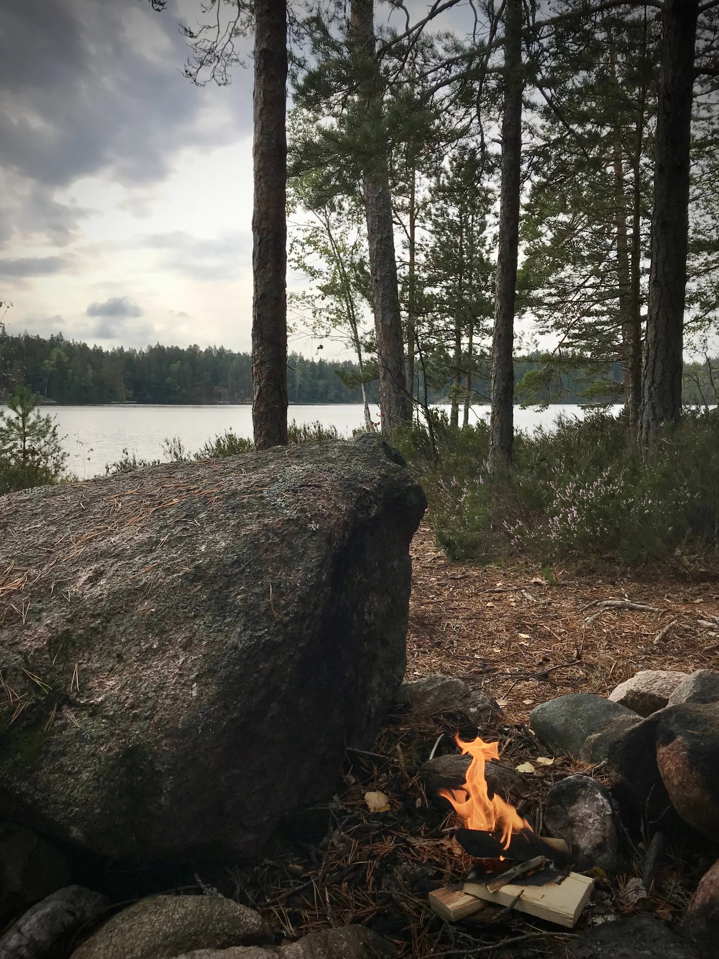 Forest Sound Walk can continue on the water.