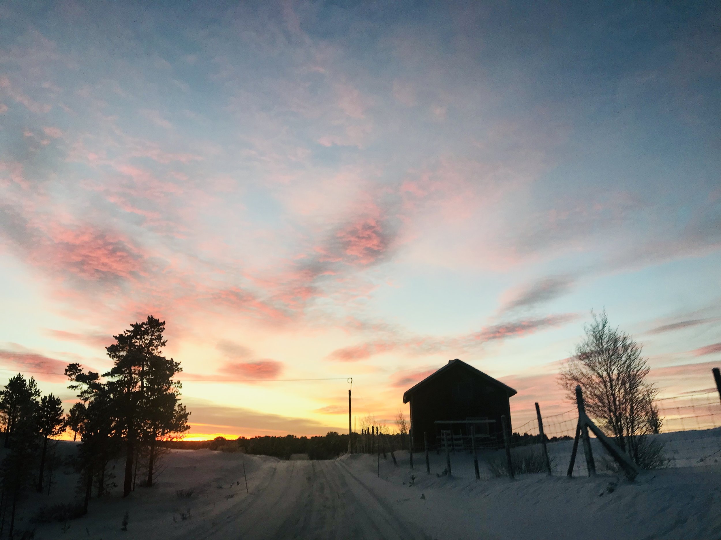 Photo: Sanni / SoundByNature®