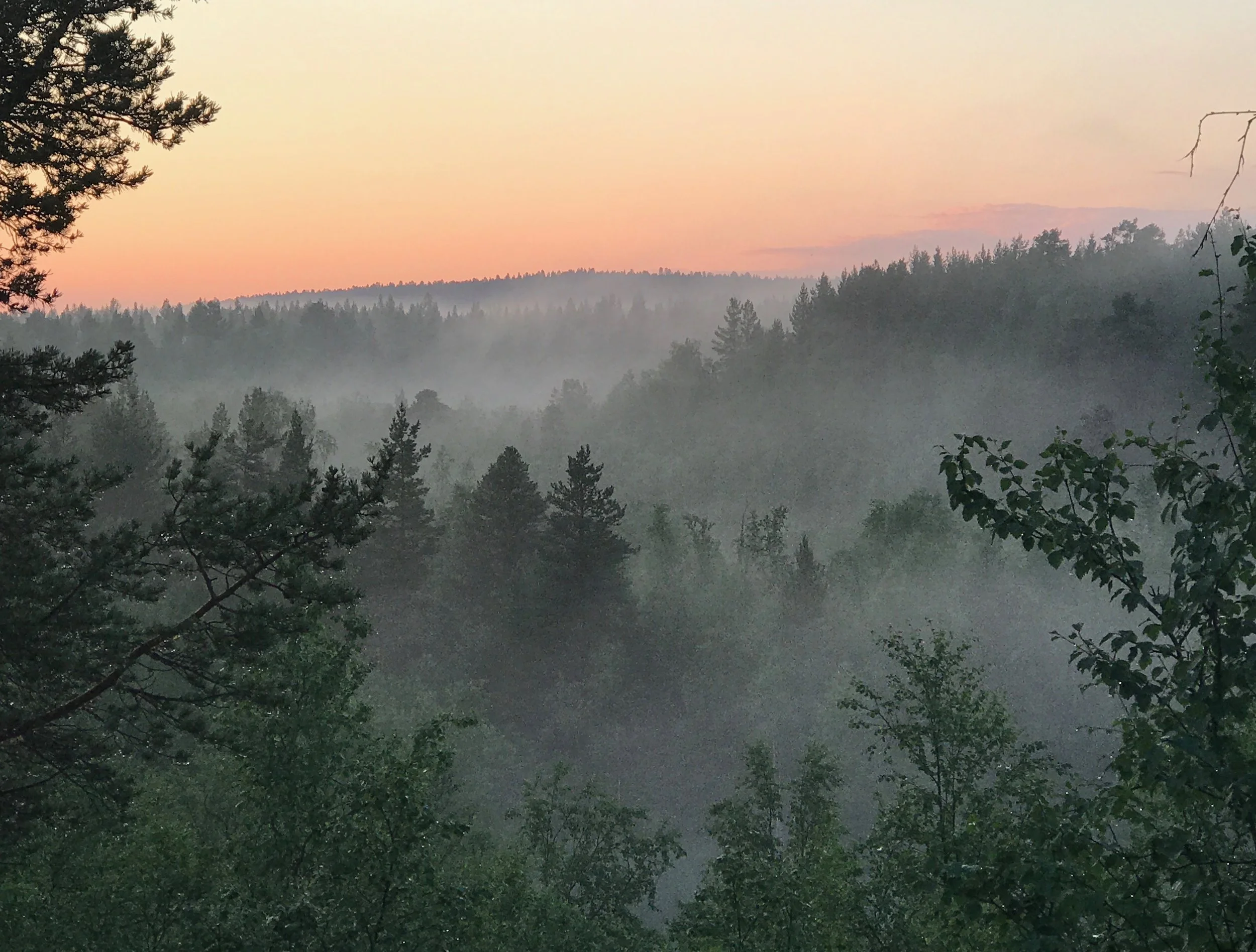 Photo: Sanni / SoundByNature®