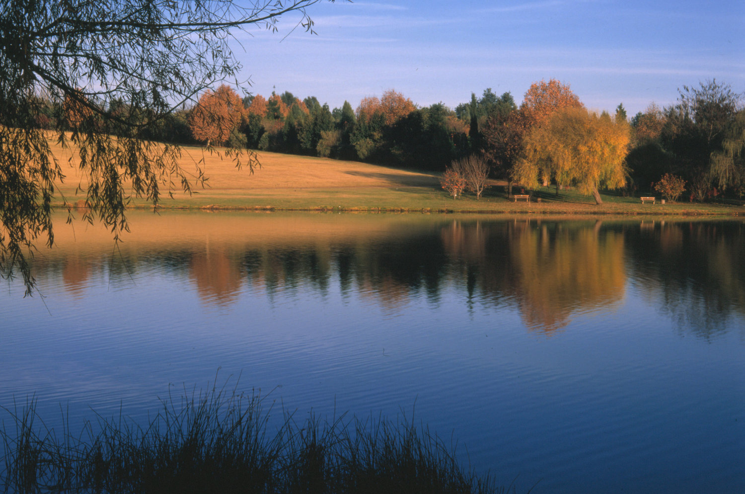 Jburg emmerentia dam.jpeg