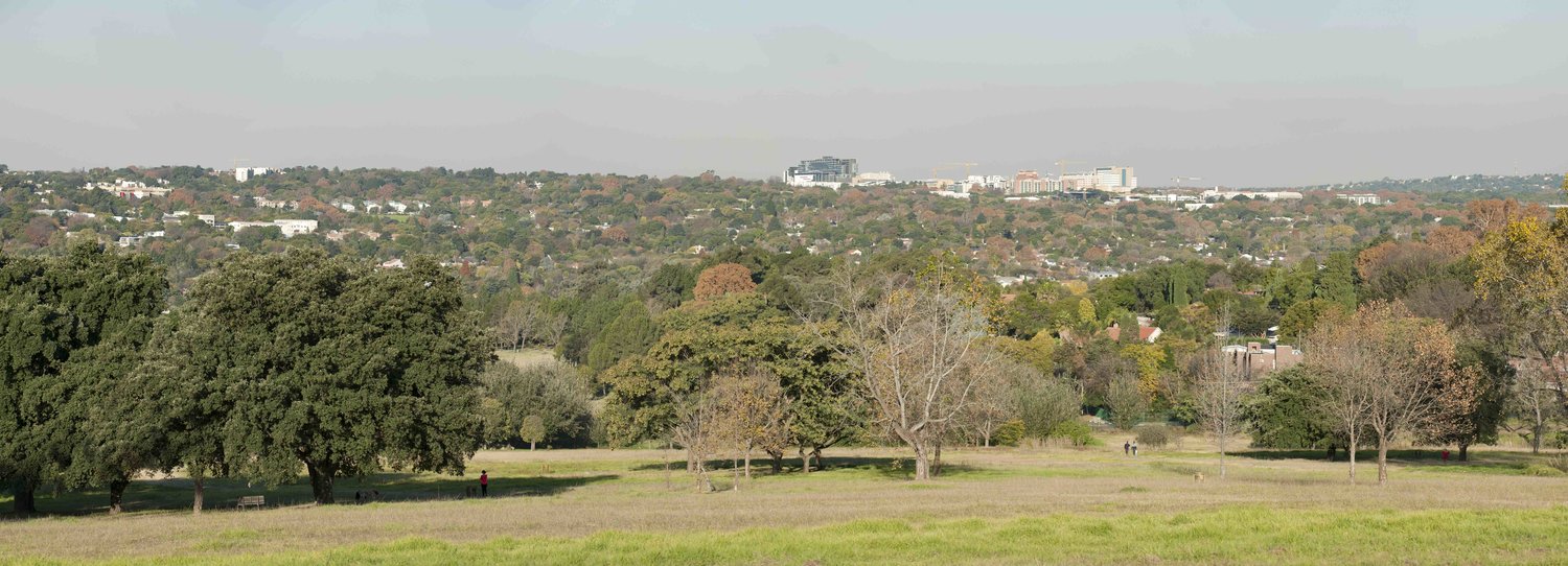 JBurg_delta park.jpeg