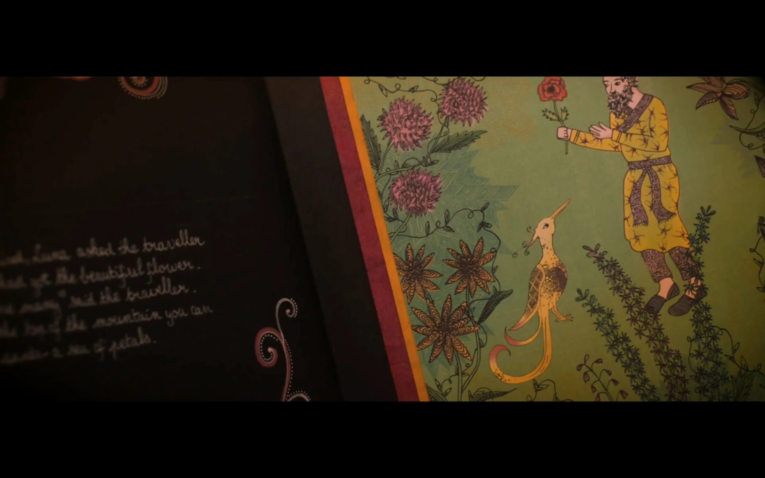 illustratedBook.jpg