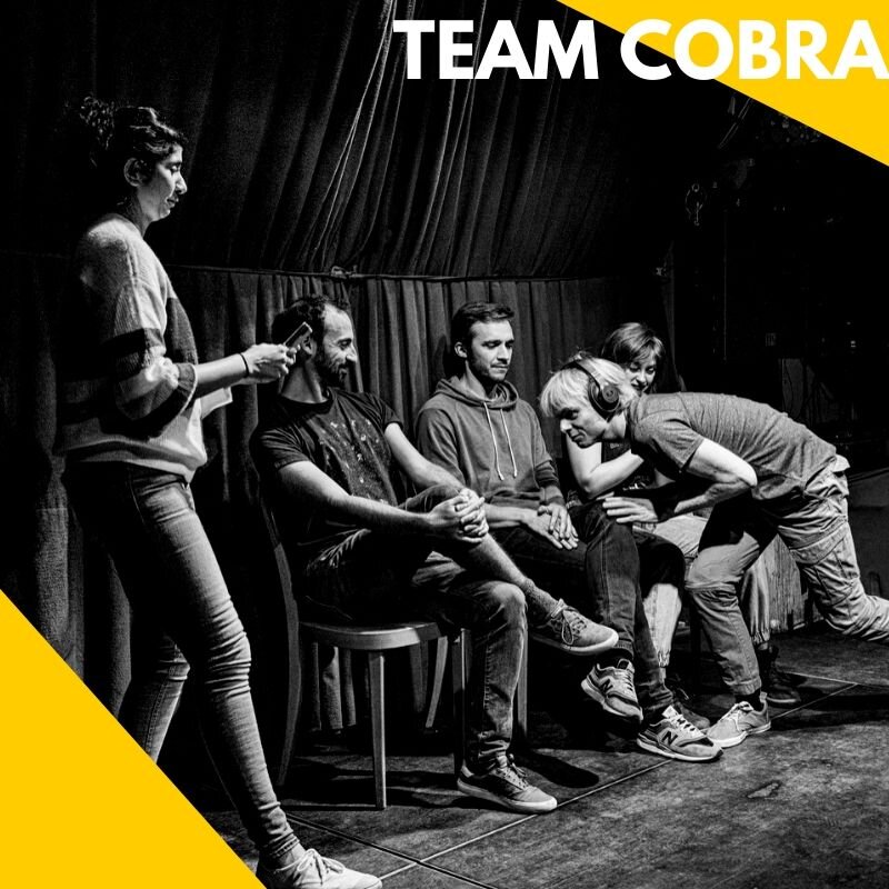TEAM COBRA