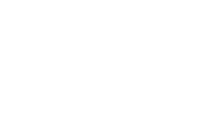 BEST+DIRECTOR+NOMINEE+-+Madrid+International+Film+Festival+-+2020.png