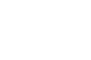 OFFICIAL+SELECTION+-+Black+Lives+Matter+Film+Challenge+-+2021.png