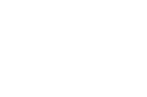 OFFICIAL+SELECTION+-+AltFest+-+2020.png