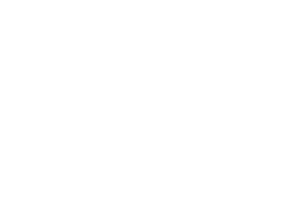 OFFICIAL+SELECTION+-+New+Faces+New+Voices+-+2020.png