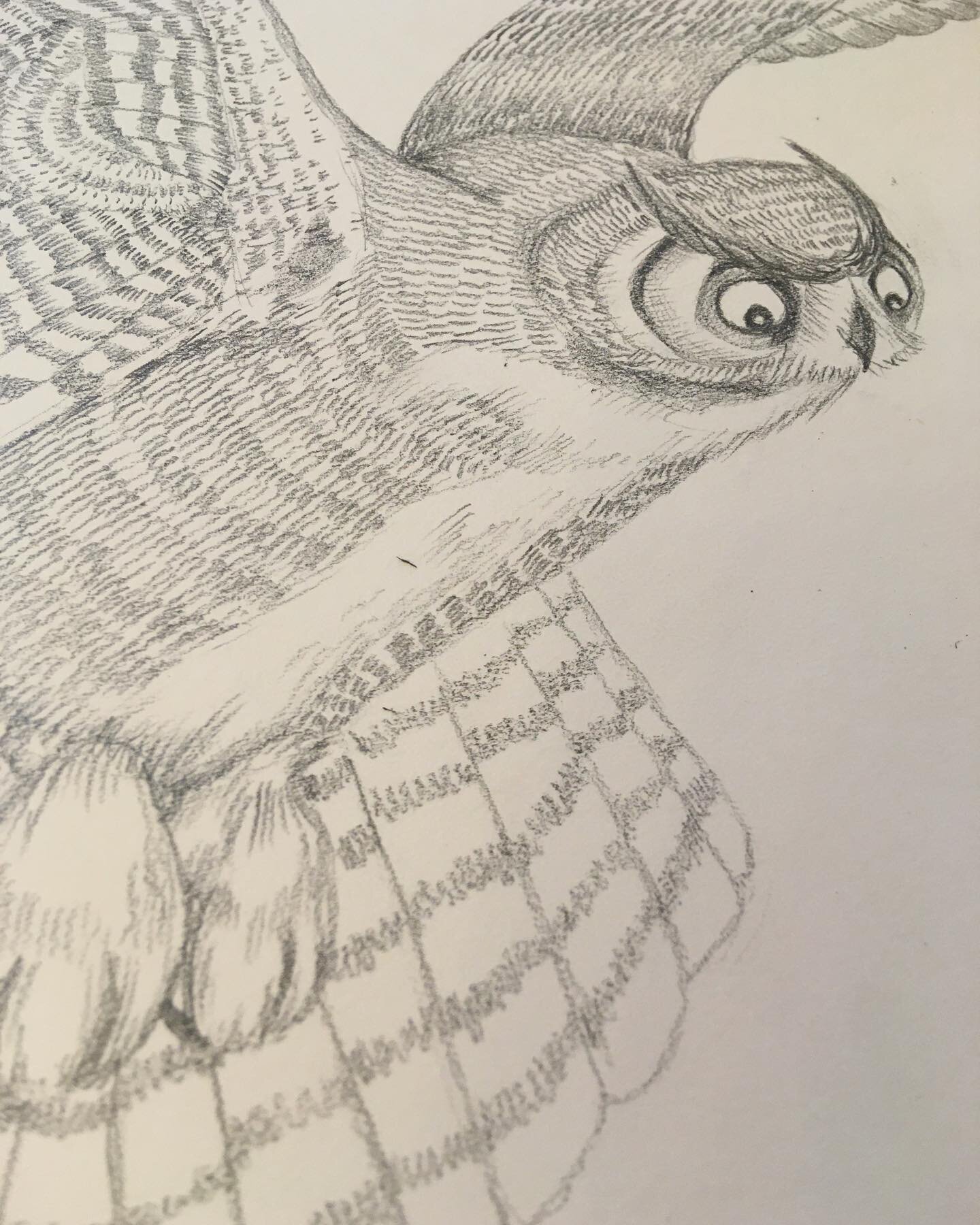 Owls. So regal, so fluffy. 
Will I ever stop drawing them? Probably not.