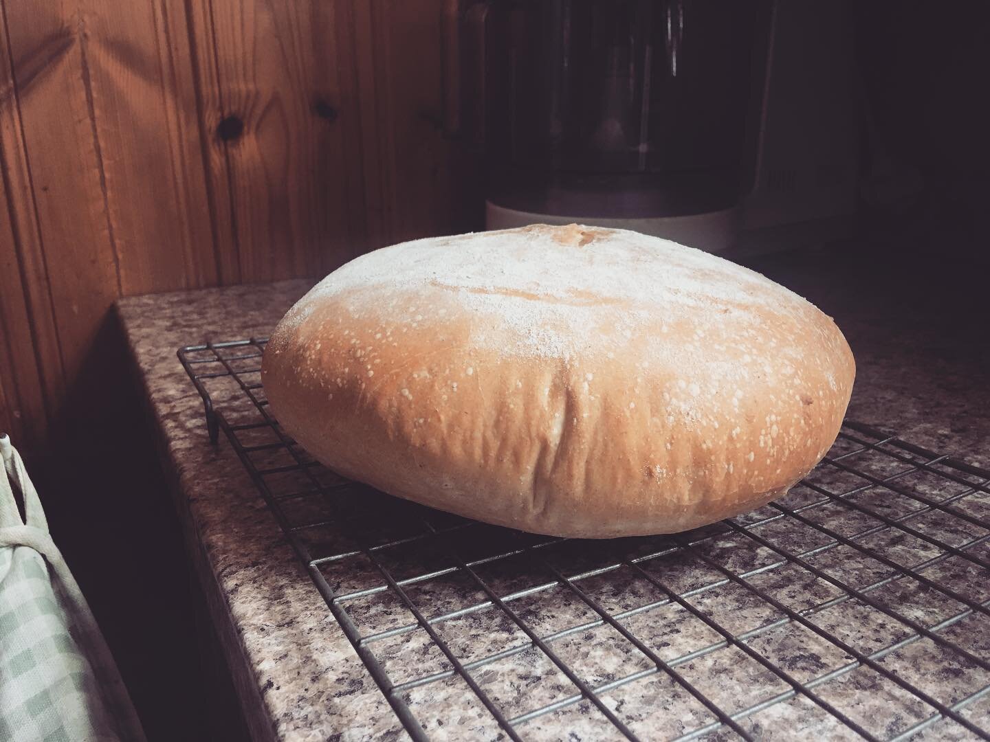 Tried to make bread but end product looks like yeasty whoopee cushion. Also managed to burn hand and entirely cover self with flour. Clearly am natural domestic goddess type. #whoopie