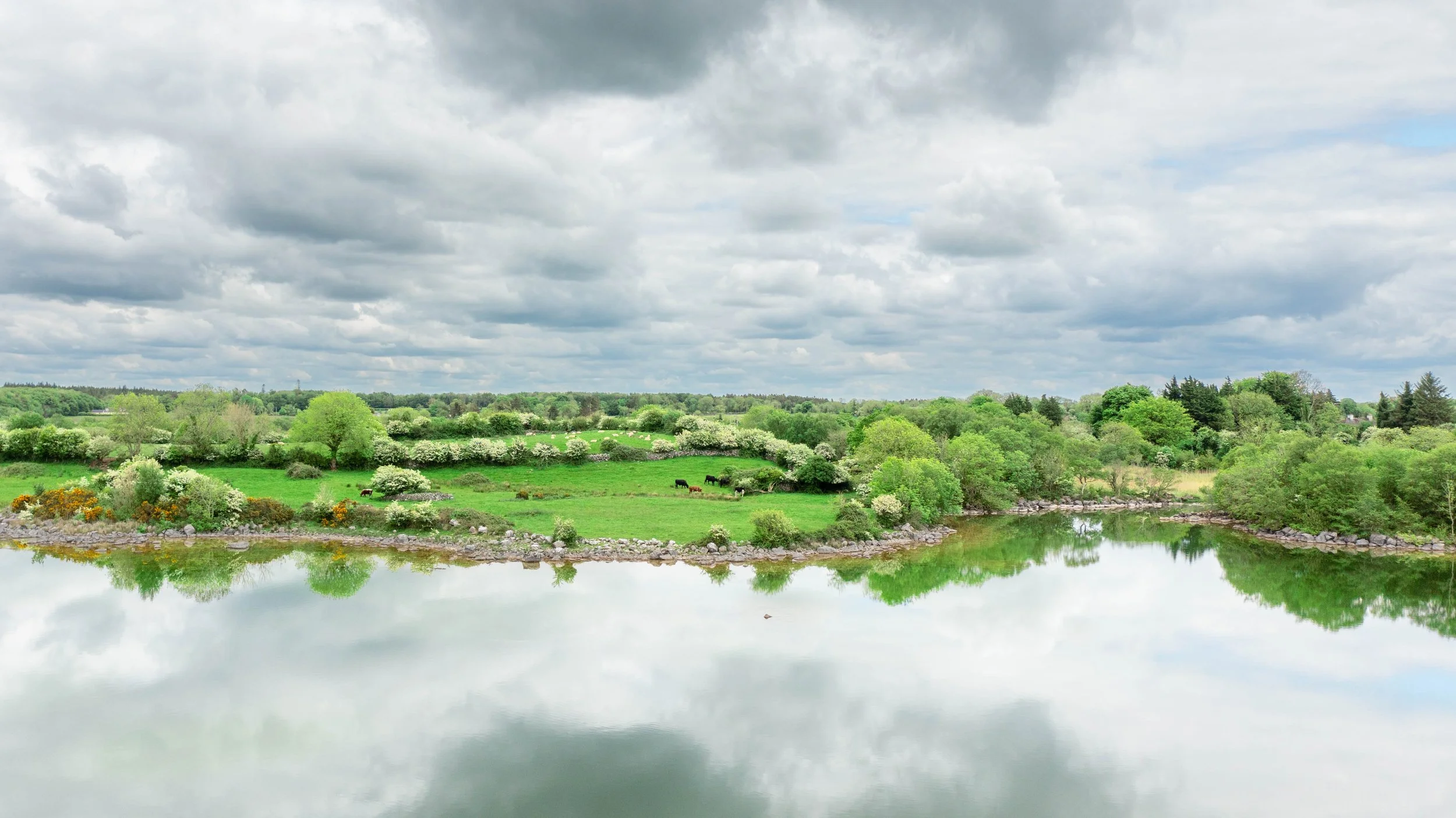 Lough Carra - Fields.jpg