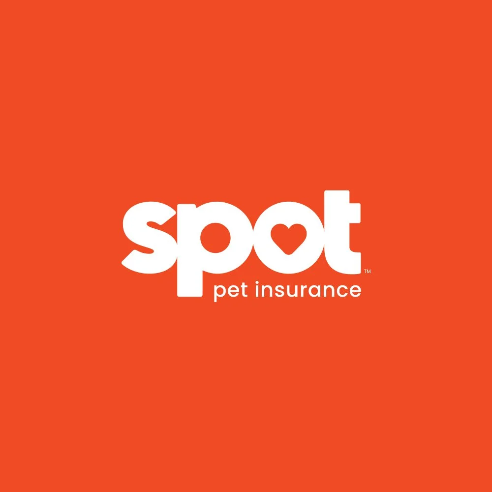 Spot Pet Insurance