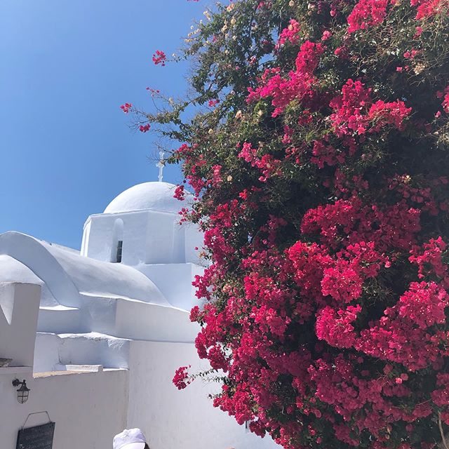 Beauty around every corner! I appreciate my senses and feel grateful for this gift. #amorgos #yogaretreat #greece #happy #space #createsomething #believe
