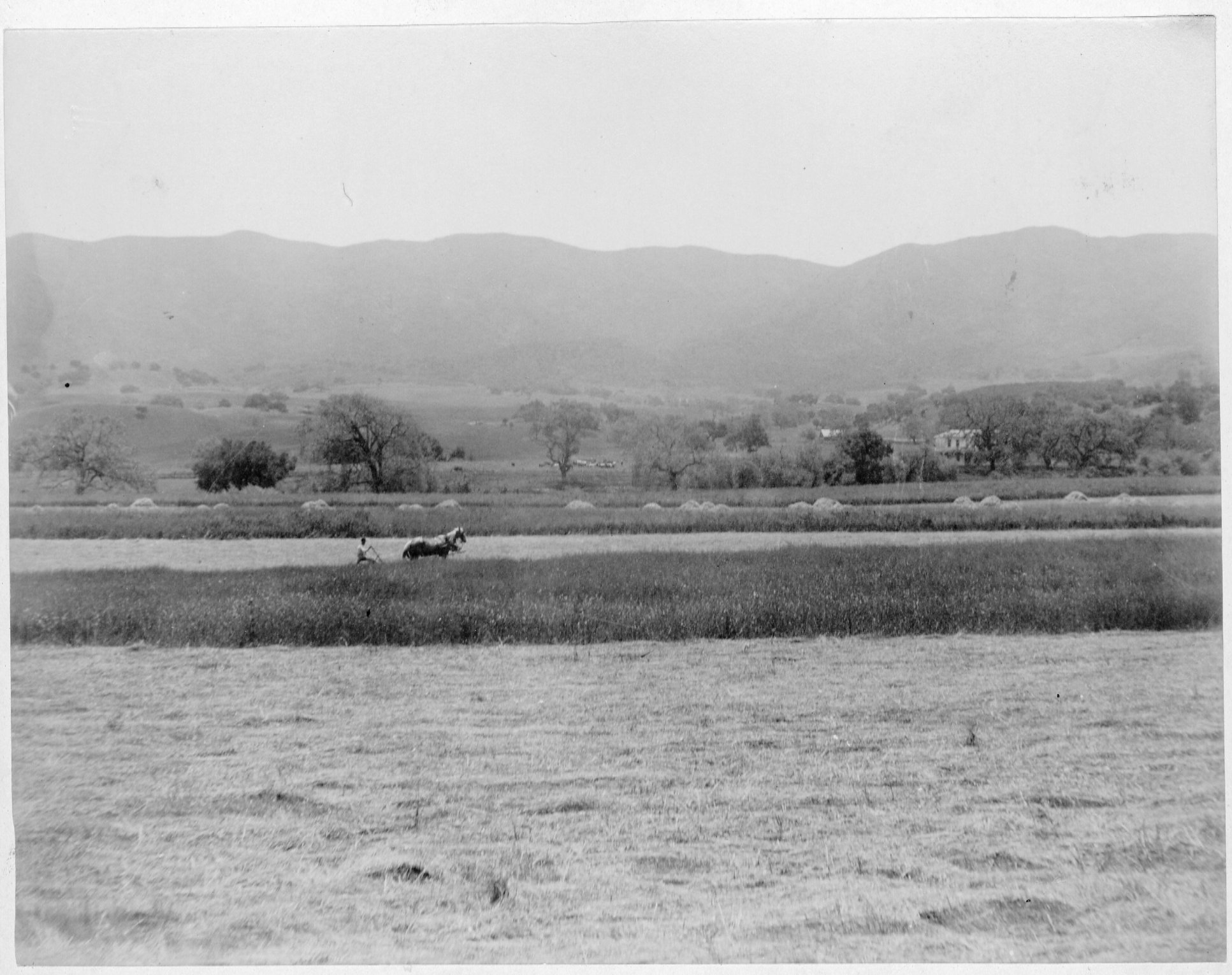 1890. The Grand Union Hotel is on the right-hand side, tucked in between oak trees.