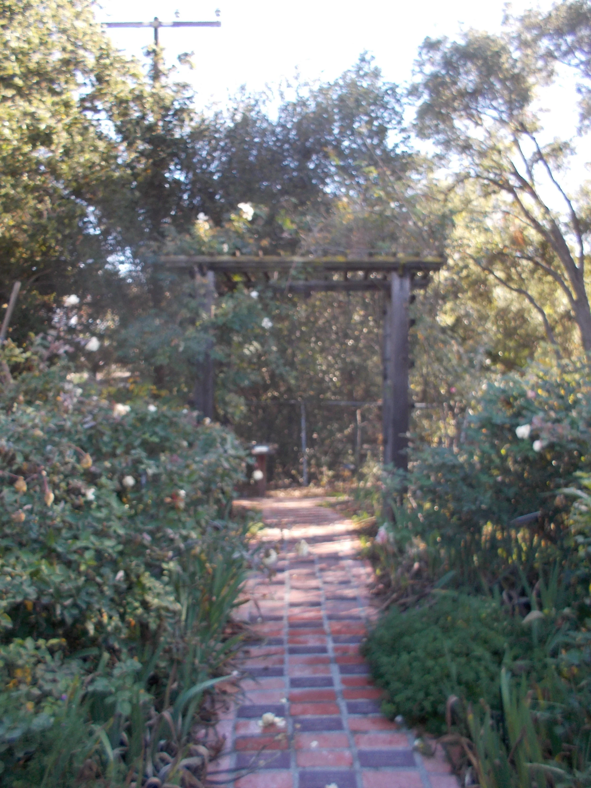 DSCN4835.JPG