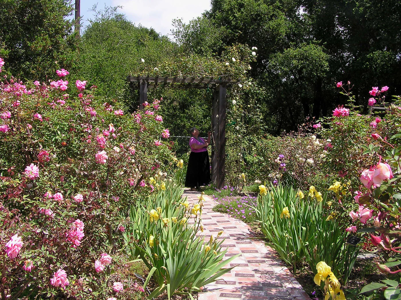 Heritage Rose Garden at the Stagecoach Inn Museum; May 2006
