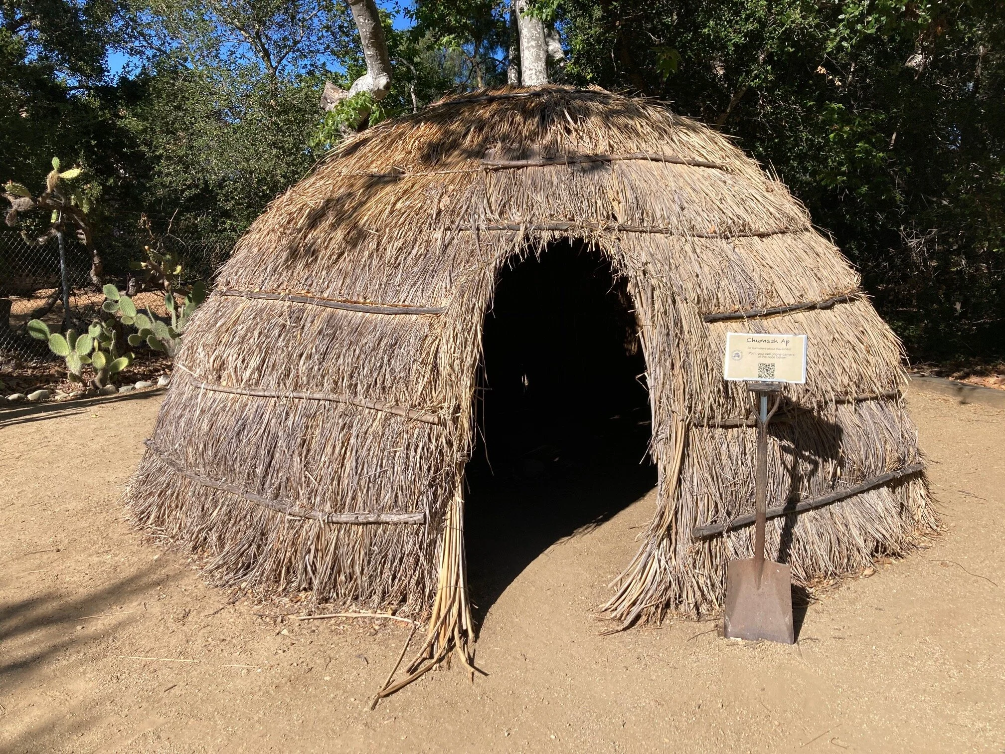 image_3.jpg