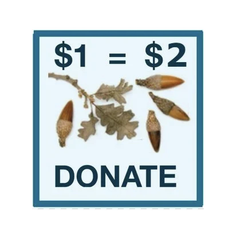 HERITAGE OAK FUNDRAISING CAMPAIGN