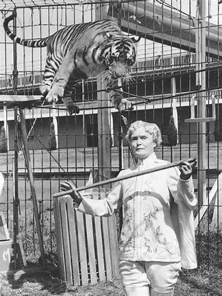 Jungleland Turns 100 - A Roaring Return