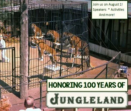 Jungleland Turns 100 - A Roaring Return