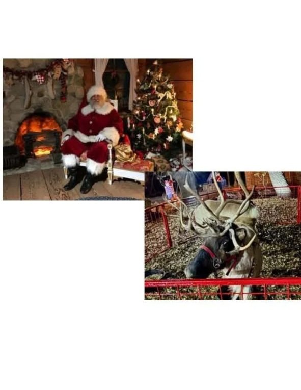 Holidays at the Inn - A Grand Reunion