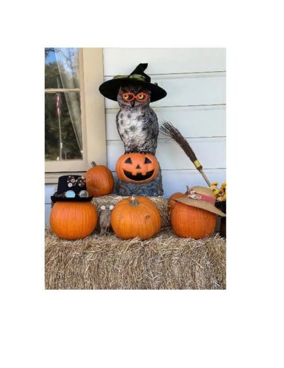 HAPPY "OWL-O-WEEN!