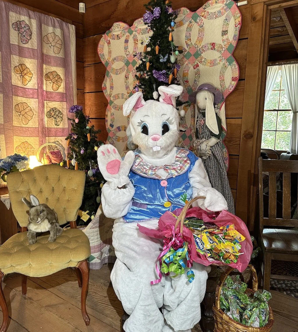 Easter Bunny 2025 sized.jpg