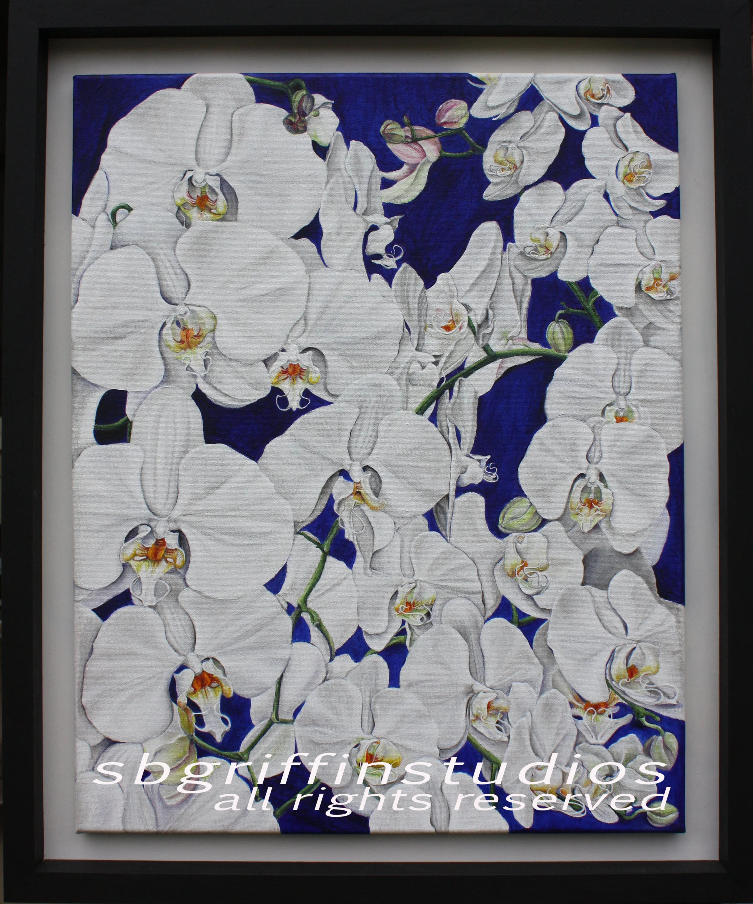 Orchids