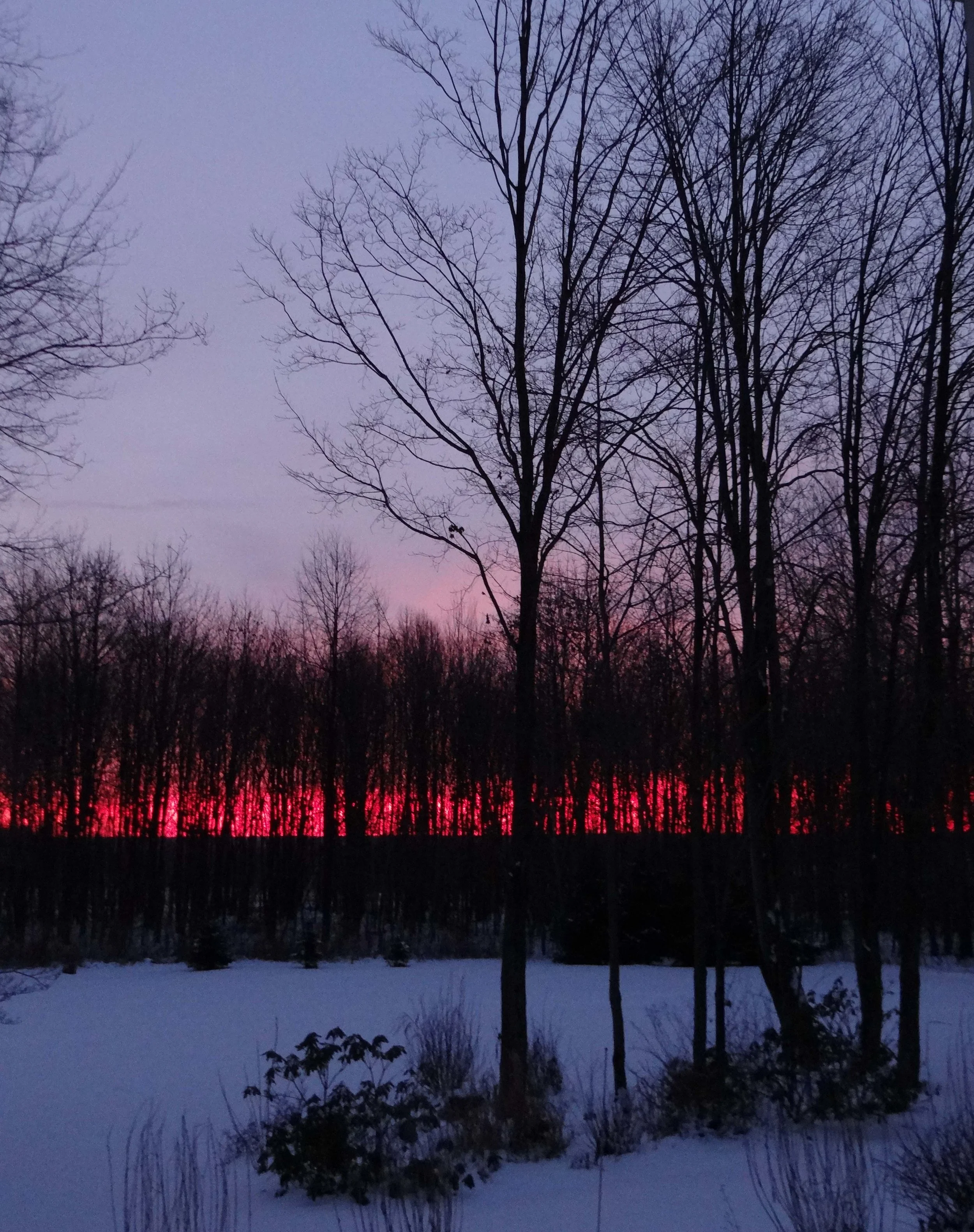 Red Sky at Morning - photograph