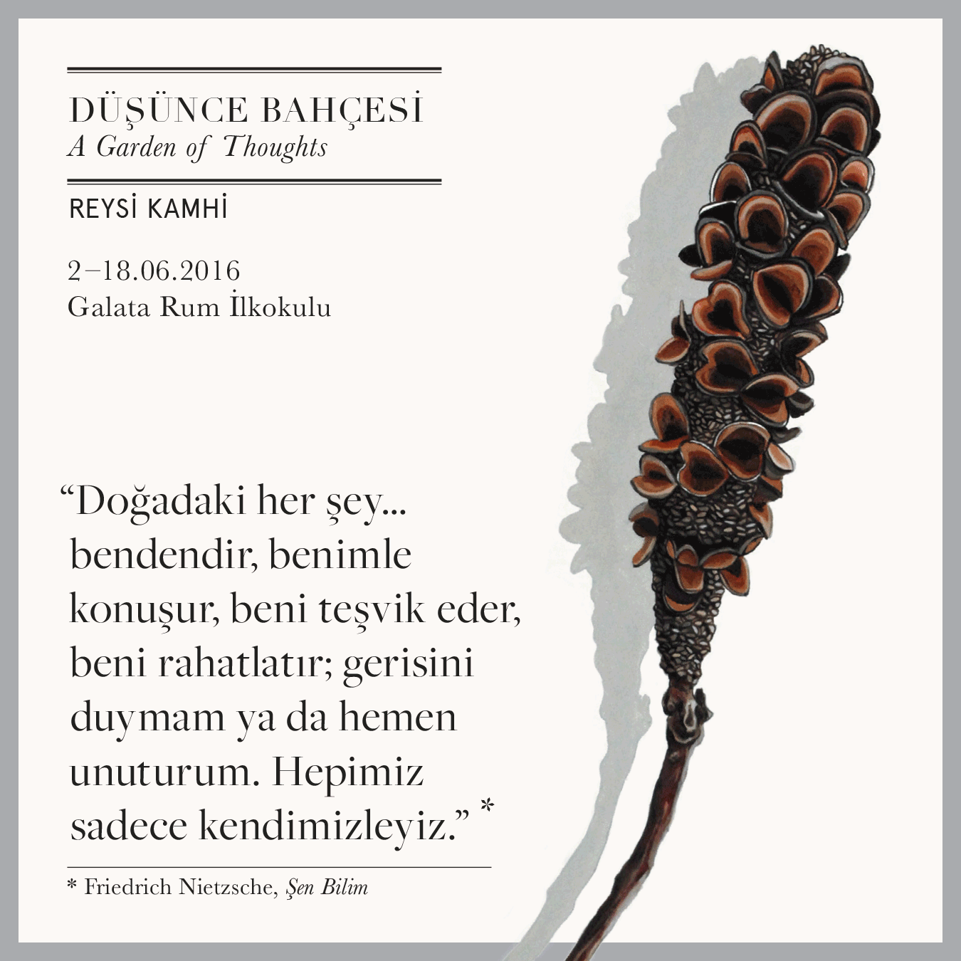 reysi_gif_cerceveli.gif