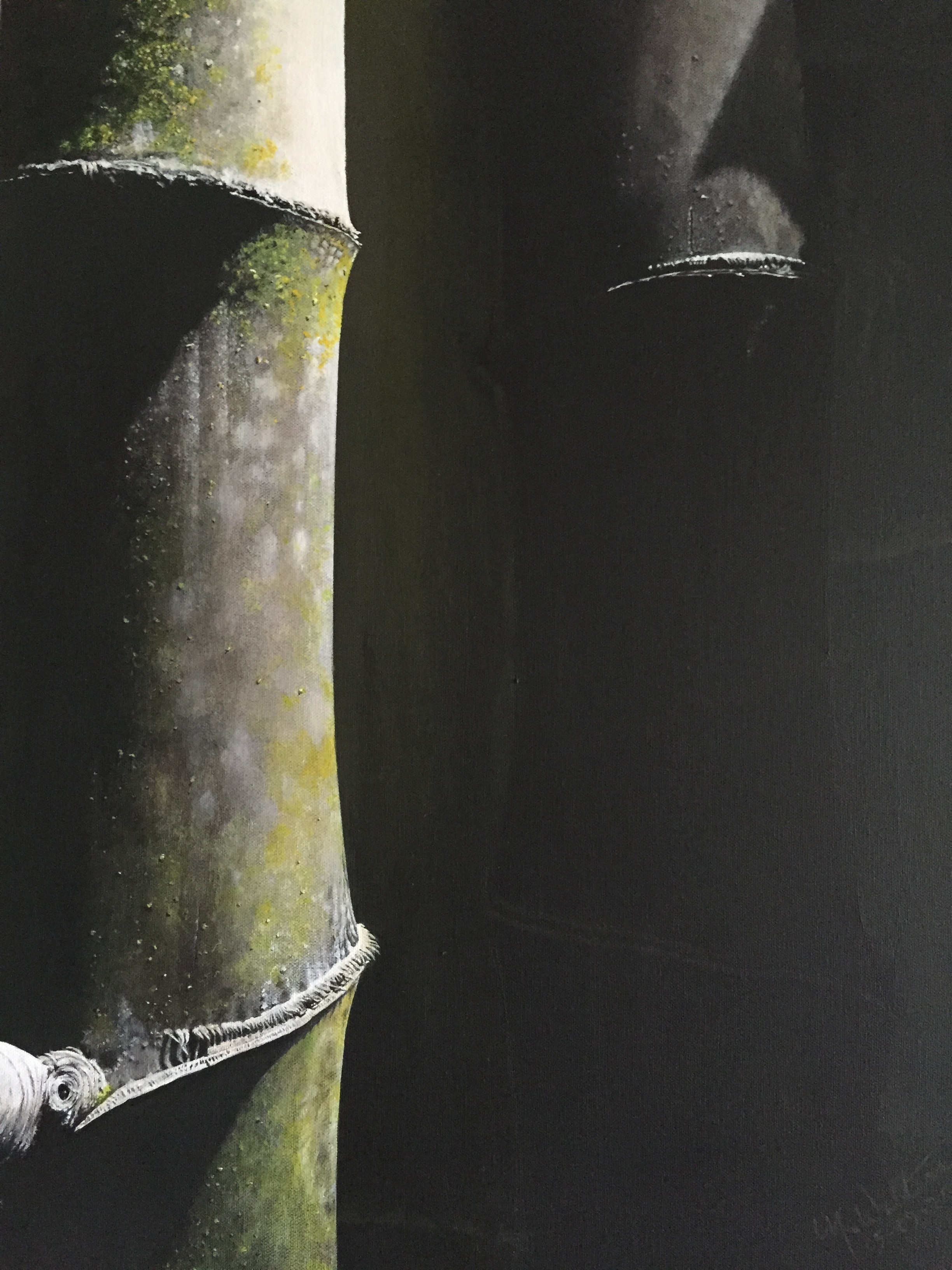 PETER'S BLACK BAMBOO 05/09/15